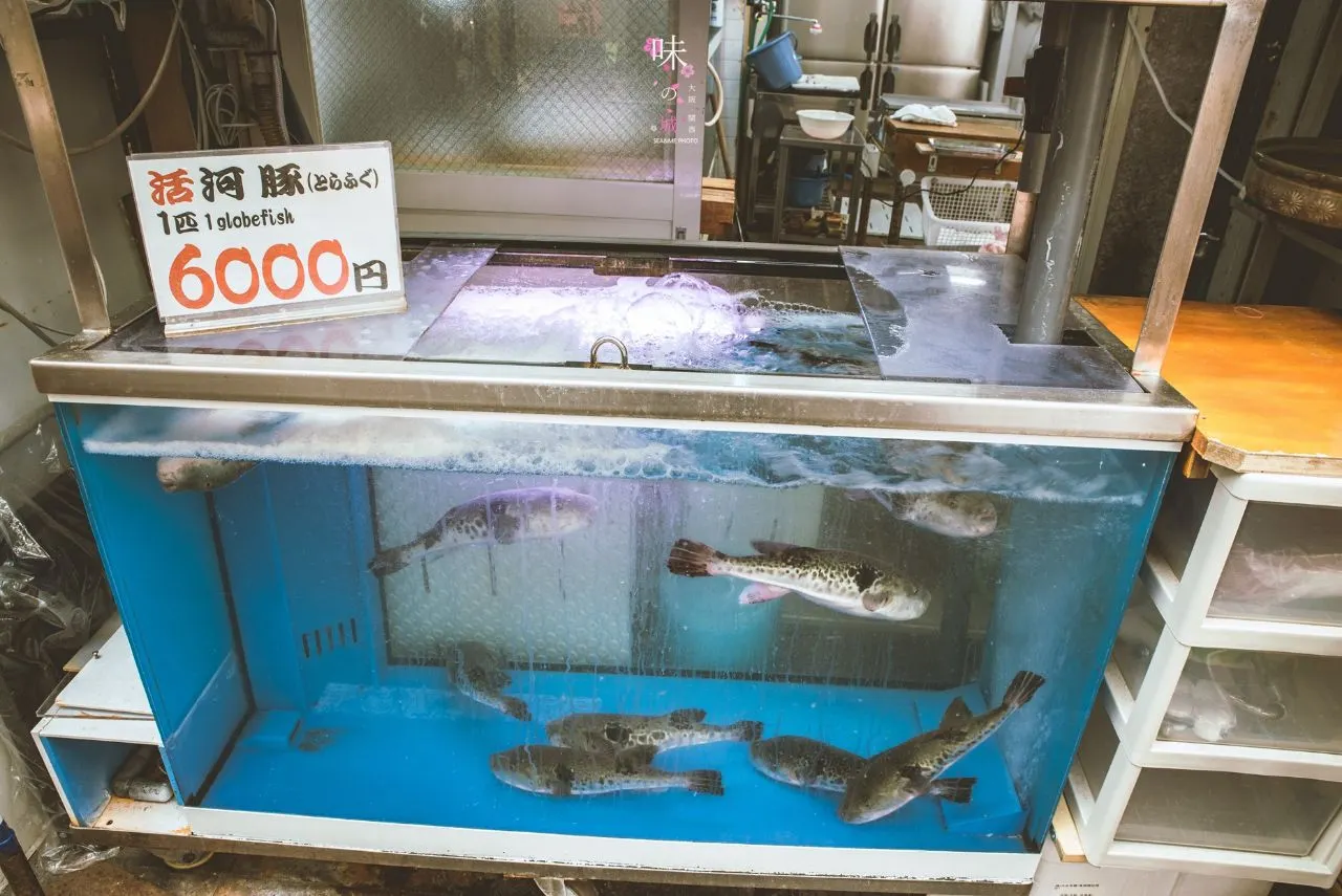 大阪黑門市場的生猛海鮮。圖片來源︰Trip.com