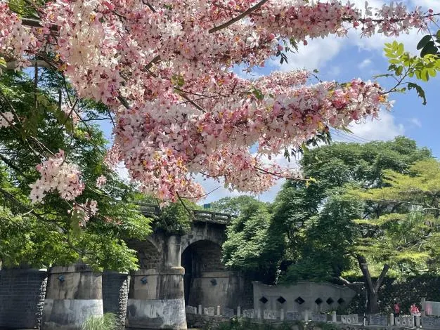 新竹縣明新科技大學附近的東安古橋