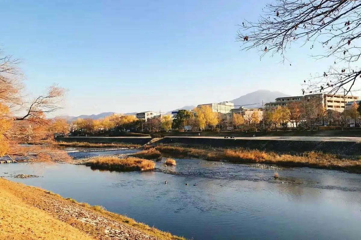 日本京都鴨川的秋天紅葉景色