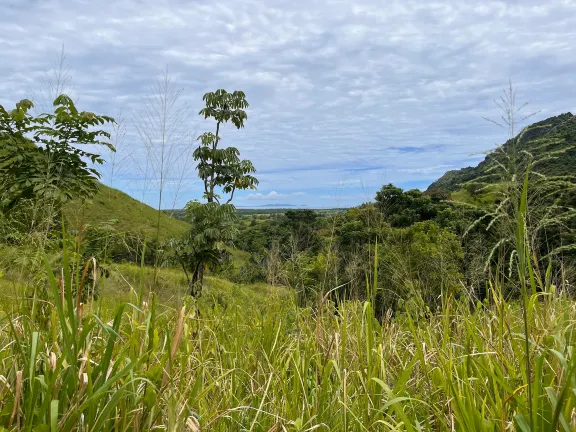 Natural landscpae in Nadi. Source: Photo by Cristina Seaborn on Unsplash