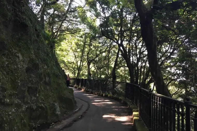 View from Peak Circle Walk