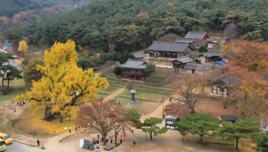 대구 도동서원(출처 : naver.com @00rere)