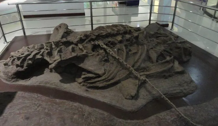 อำเภอโนนศิลา : ซากไดโนเสาร์ที่อุทยานภูเวียง (Source: Thailand Tourism Directory)