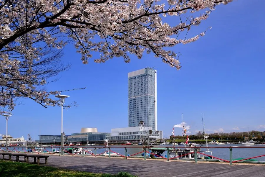 新潟市｜新潟朱鷺メッセ｜桜