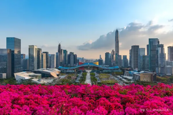 Lianhuashan Park, Shenzhen