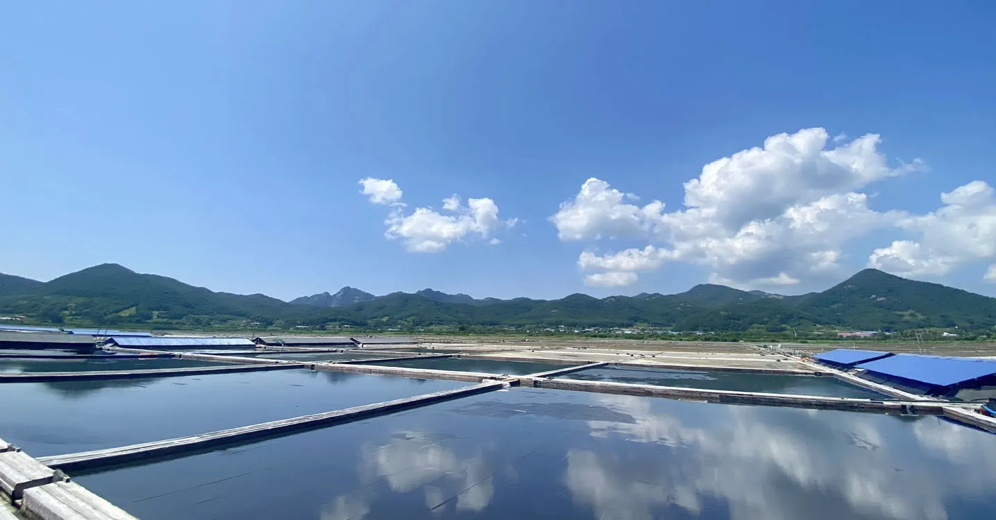 부안 곰소 염전  (출처 : 네이버 블로그 지구별 산행/여행 이야기)