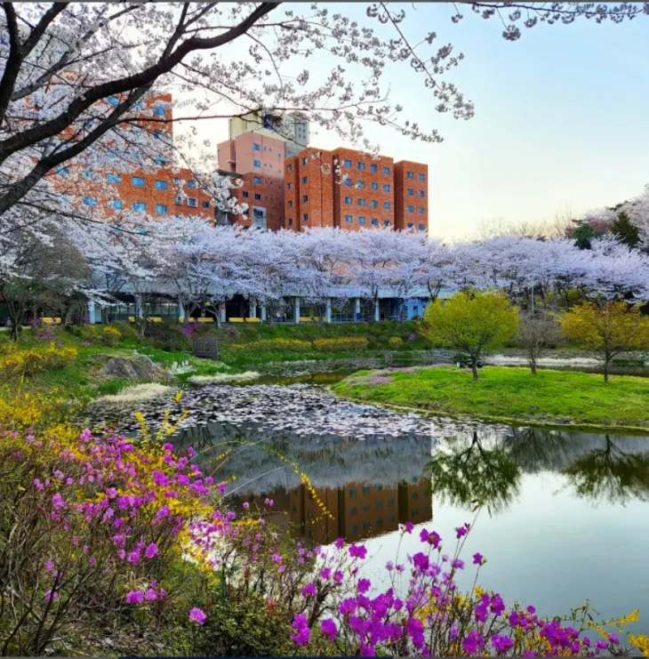 나주 동신대학교 (출처: 동신대학교 공식홈페이지)