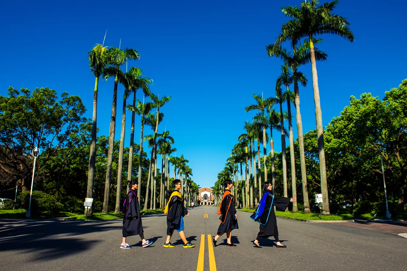 台灣大學的椰林大道是拍照的著名景點 圖片來源：台灣大學官網