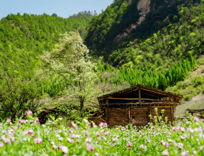 怒江霧裡村