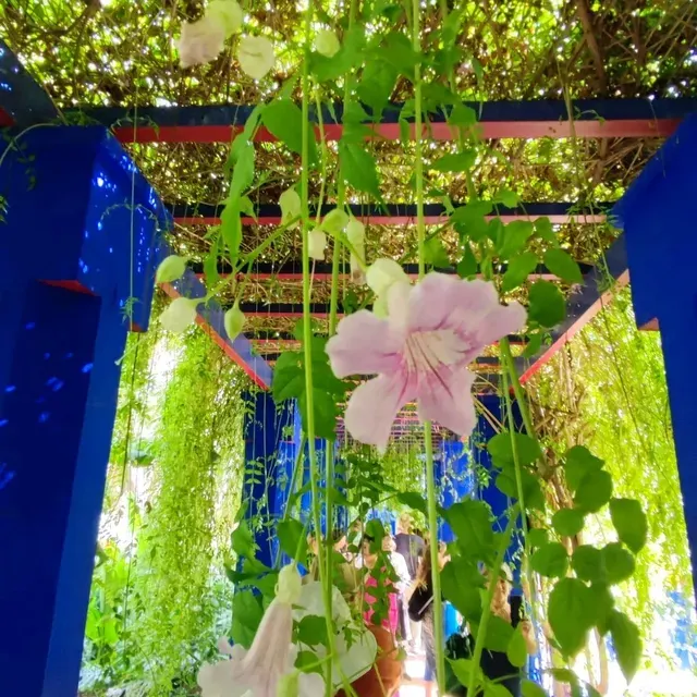 Marrakech Majorelle Garden