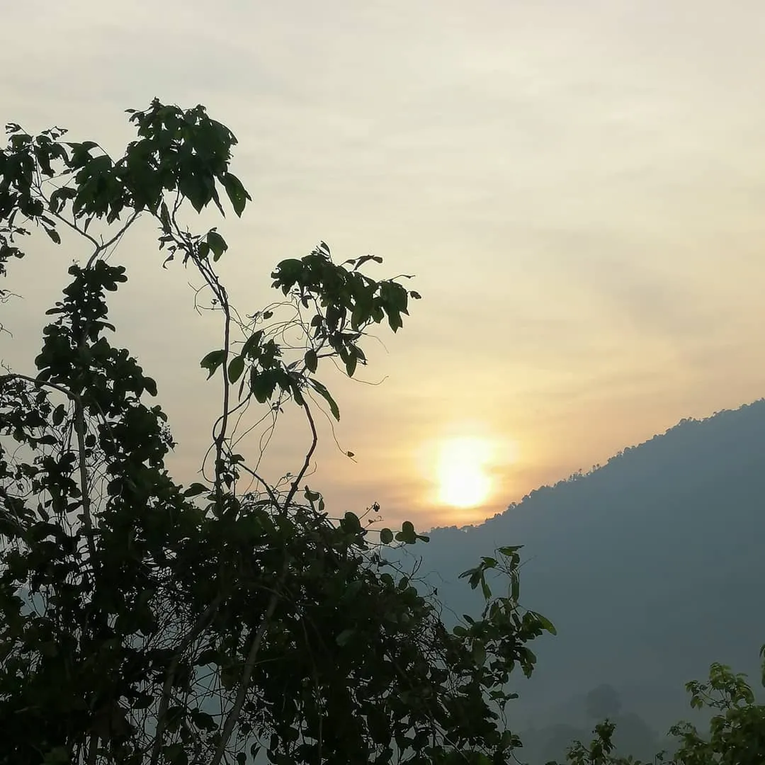 瓜拉庇勞的 Bukit Sikai
