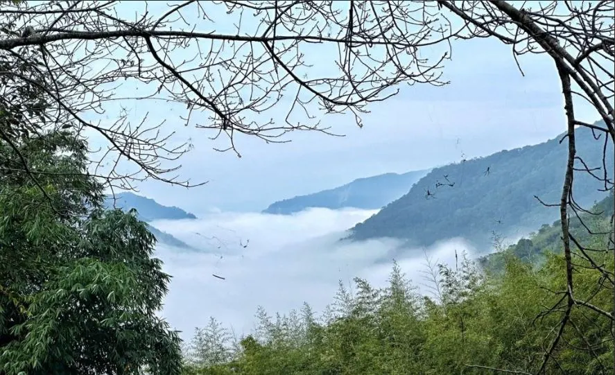 苗栗雪見遊憩區中的雪見司馬限林道 