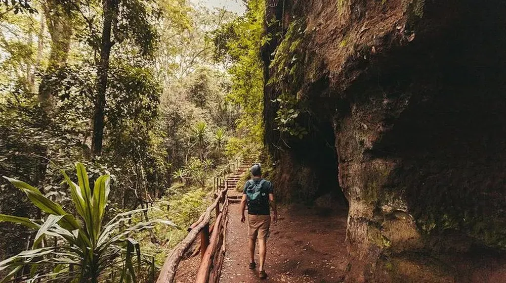 Nairobi Karura Forest