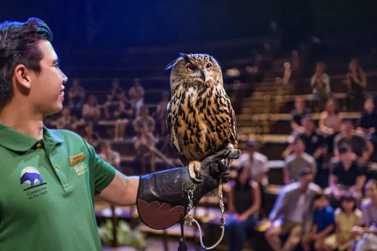 Night Safari, Singapore