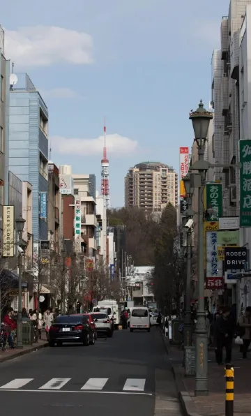 広尾, 広尾散歩通り