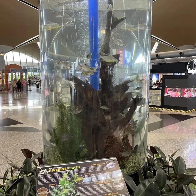 Kuala Lumpur International Airport