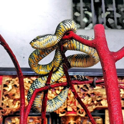 Snake Temple