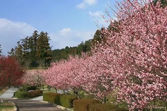 福津／本木川自然公園・ほたるの里