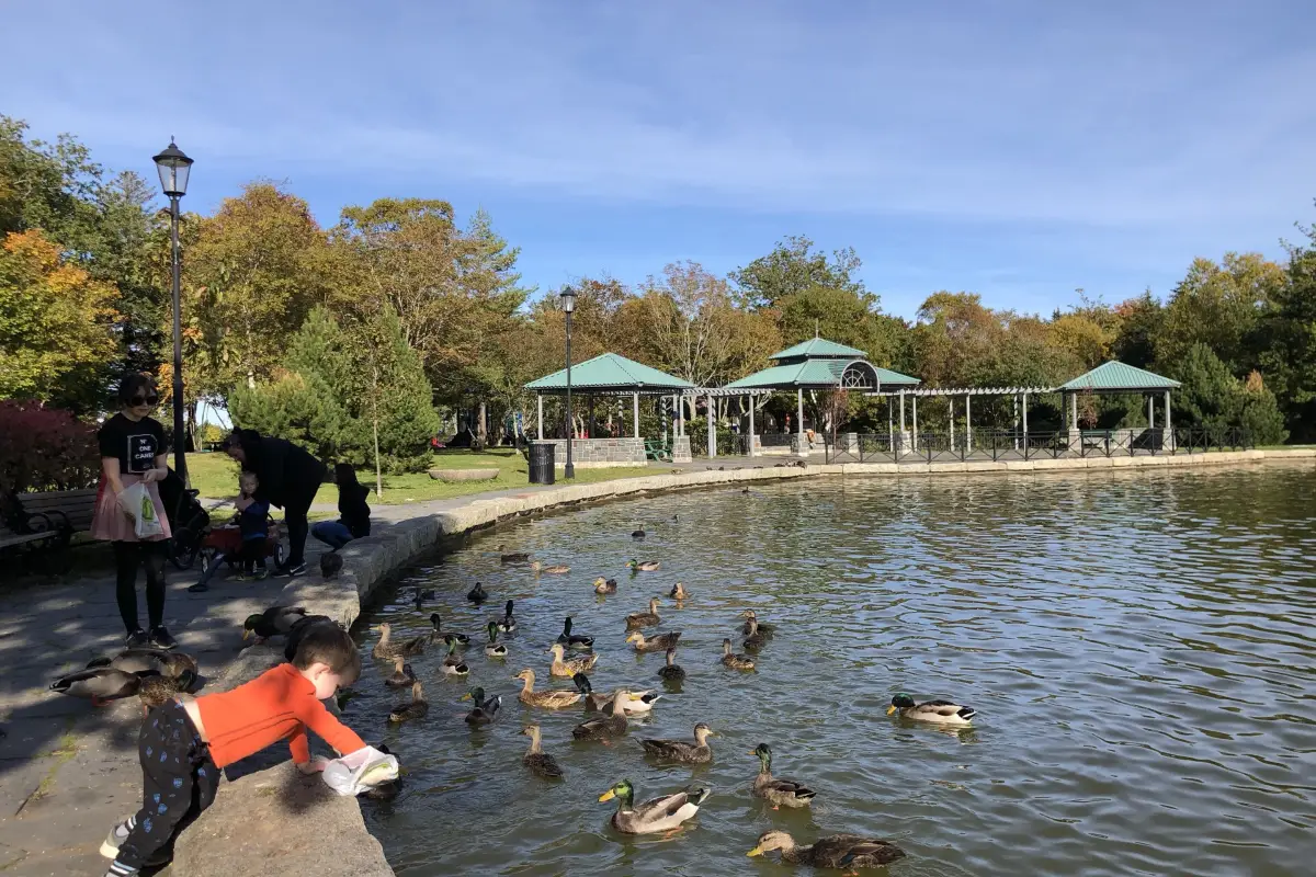 St. John's Bowring Park