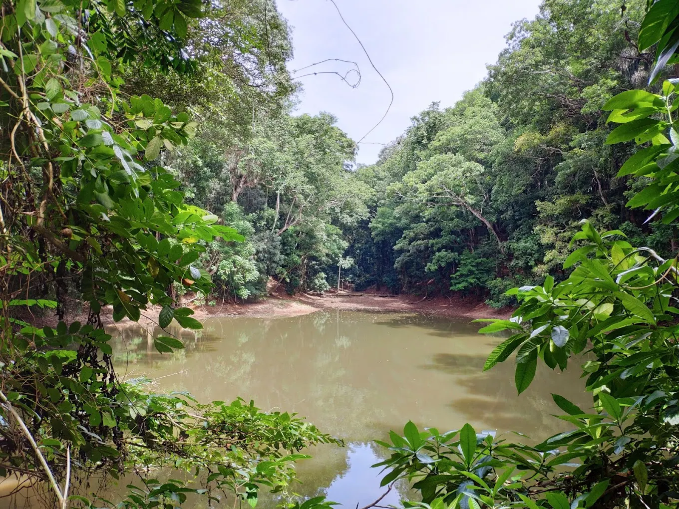 Udawatta Kele Sanctuary, near Pilimathalawa