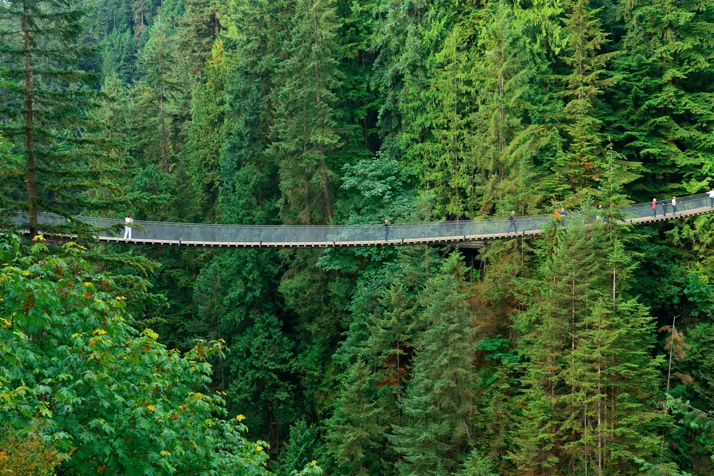Vancouver Capilano Suspension Bridge