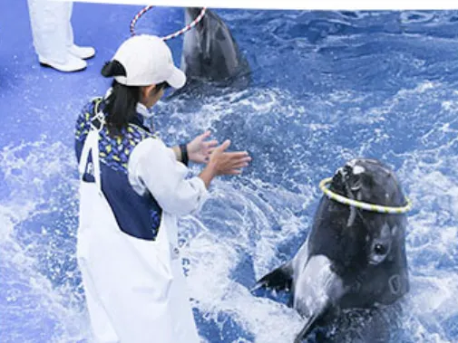 오이타 우미타마고 수족관