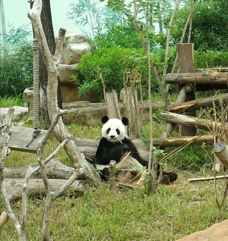Nanning Zoo