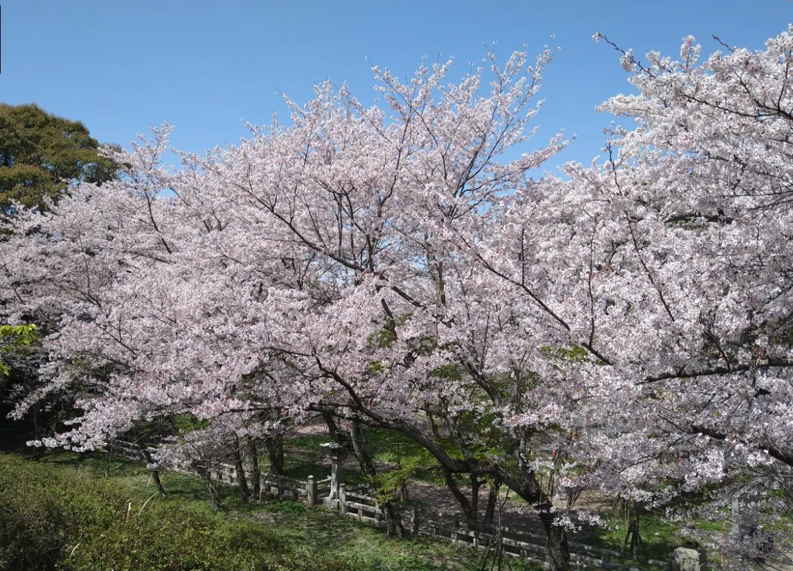 徳島市西部公園