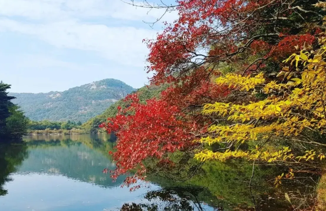 尚州市, 俗離山国立公園
