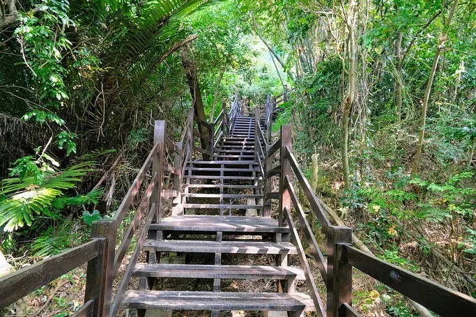 臺中大坑風景區的步道