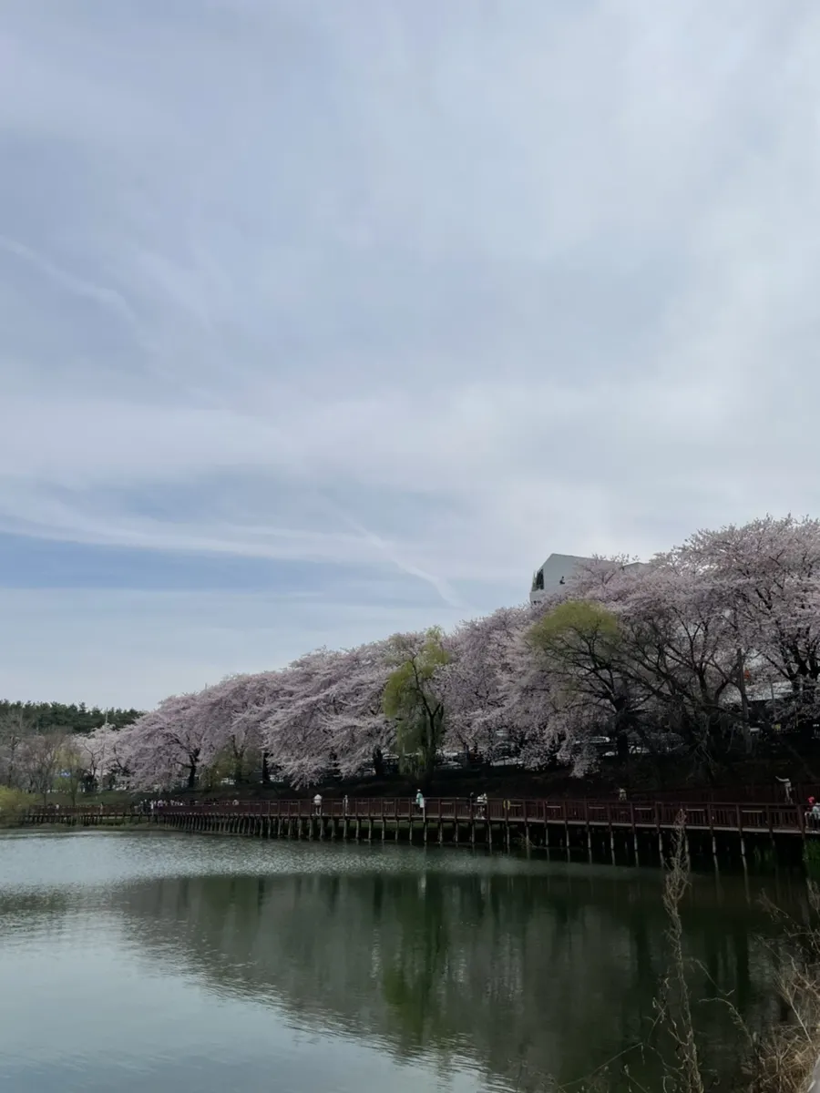 군산 은파호수공원 : 출처(naver.com @hb660427wkddd)