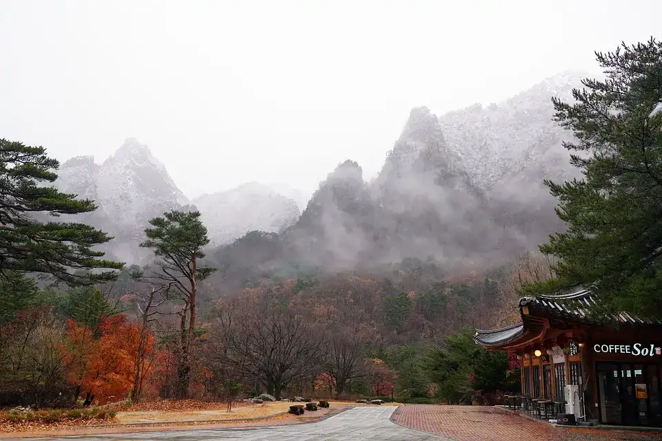 韓国・大田の2月の気温