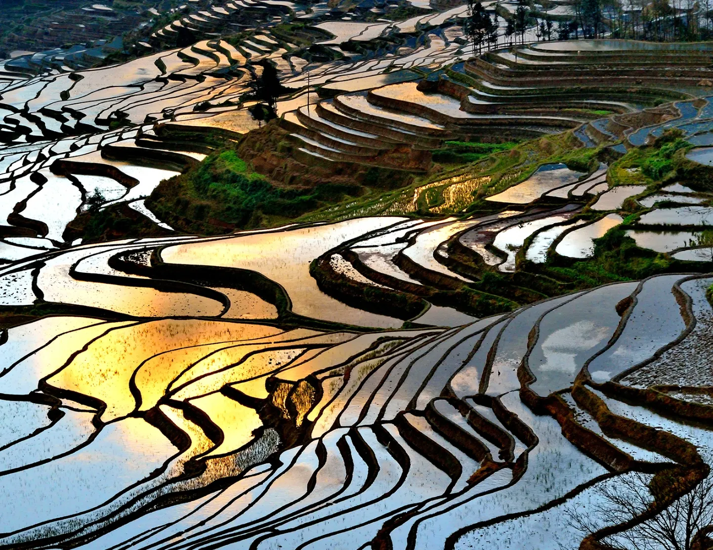 元陽哈尼梯田