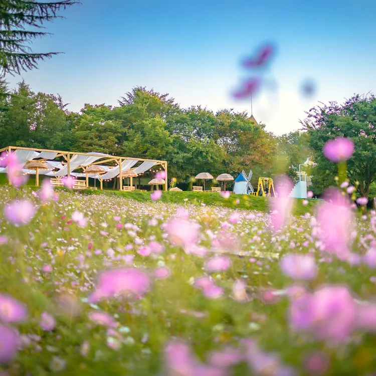 대구 이월드 (출처: 대구 이월드 83타워 공식홈페이지)