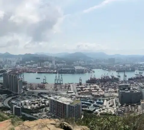 不少遊客都會前來青衣公園欣賞紅葉