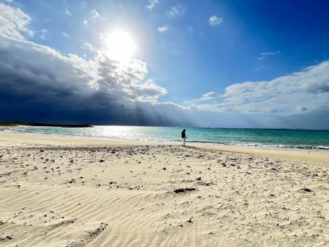 豐見城的豐崎沙灘的景觀