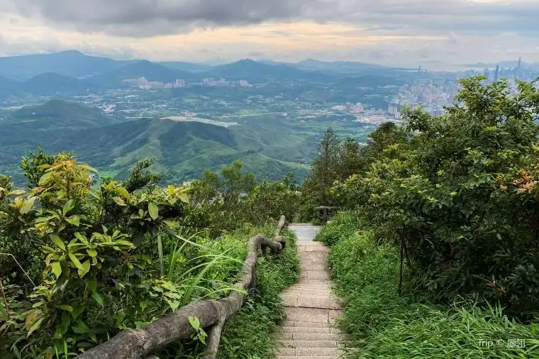 深圳哪裏好玩 – 梧桐山國家森林公園
