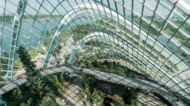 Cloud Forest: Your Official Guide To A Mystical World