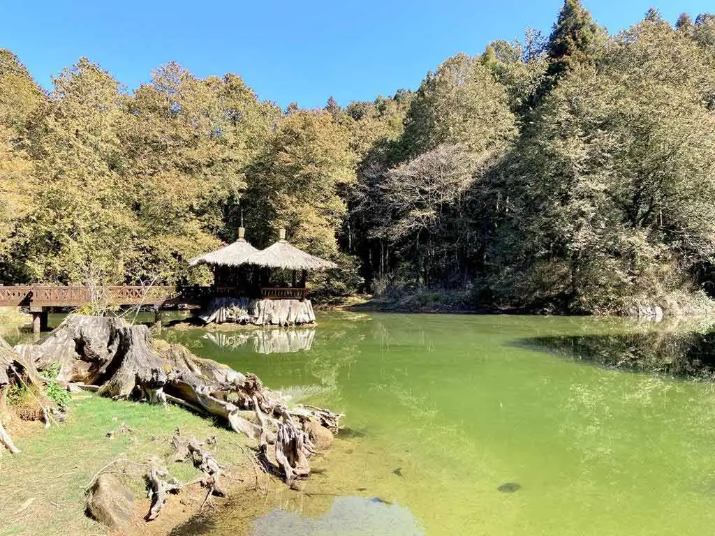 姊妹潭的湖畔景色讓令人心曠神怡