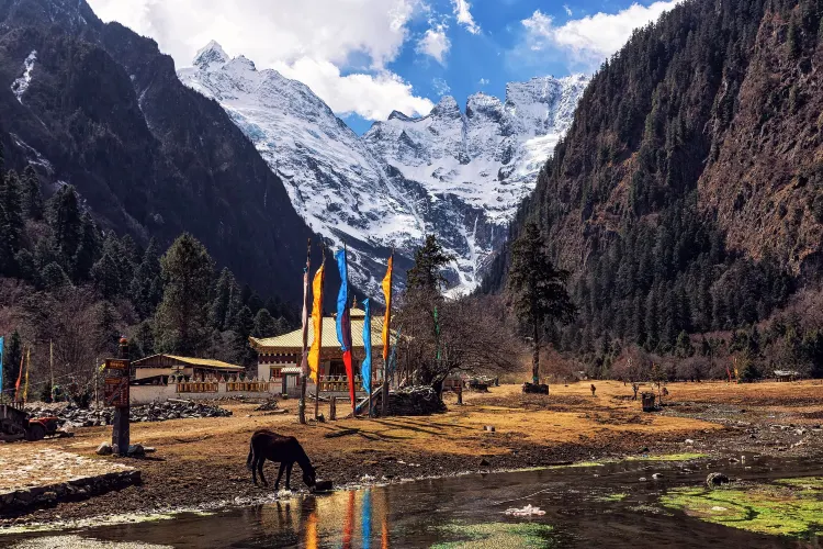 德欽雨崩村村內景觀
