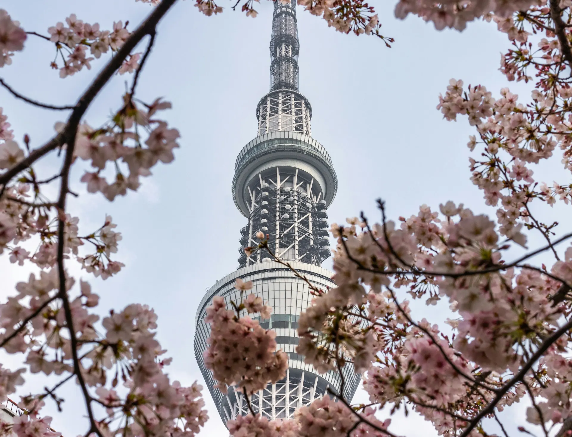 Tokyo Skytree. Source: Photo by Robbu Mcculloug on Unsplash