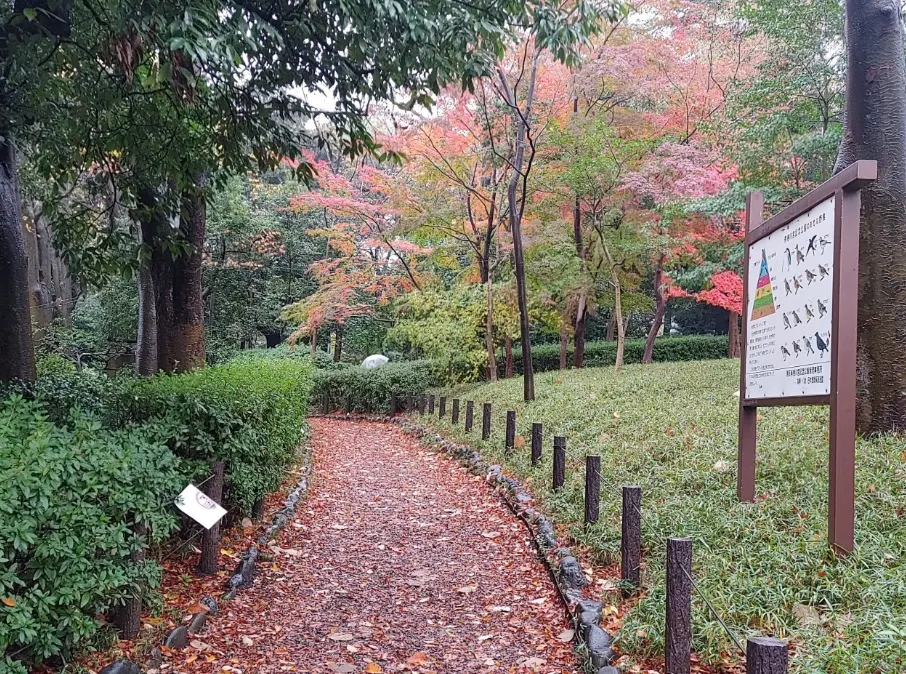 広尾, 有栖川記念公園の散策路