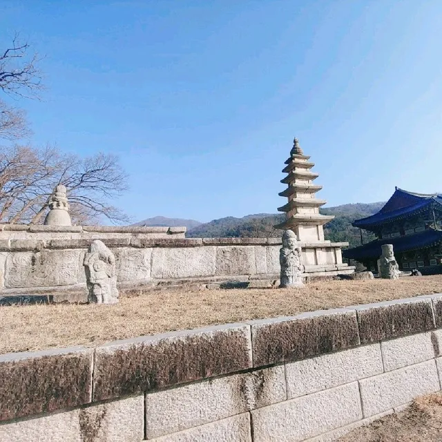 김제금산사