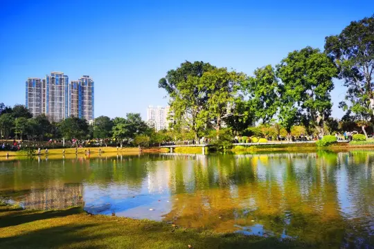 中國深圳香蜜湖的香蜜公園