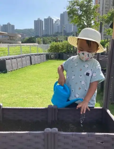 小朋友從活動中學會簡單的種植方法