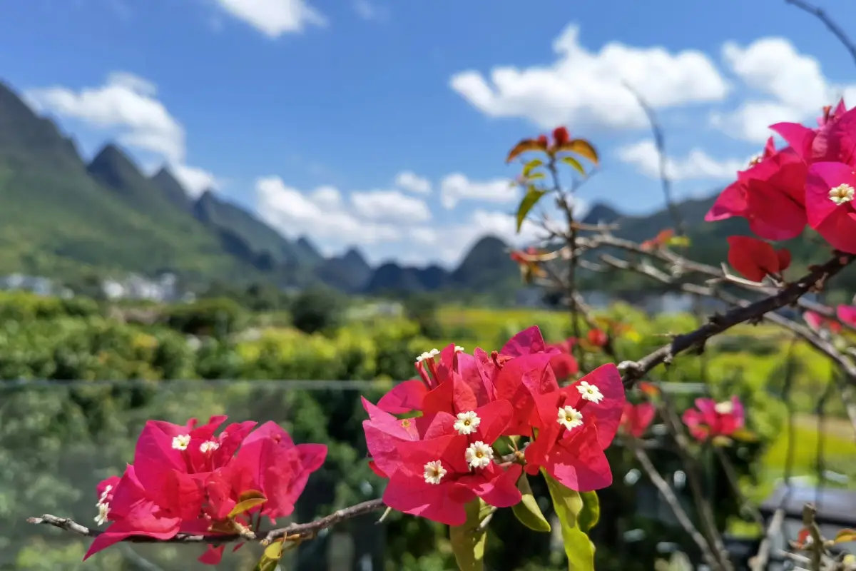 中國貴州興義萬峰林景區