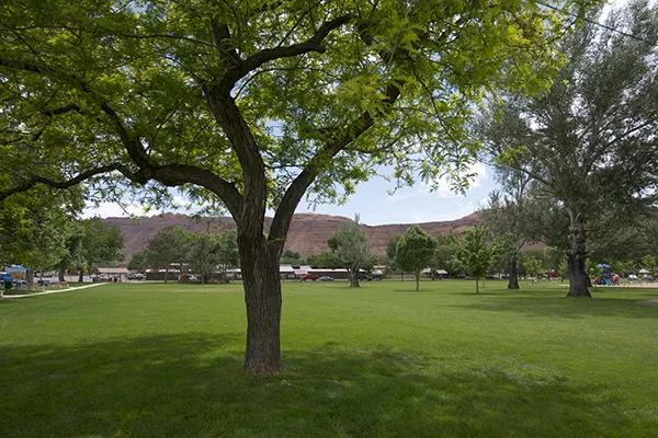 모아브 로터리 공원 (출처 : The city of Moab)