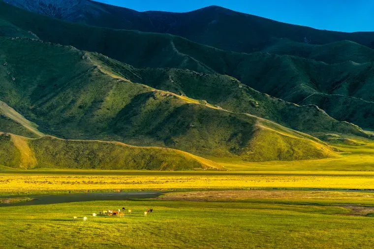 Hadamen National Forest Park, Hohhot