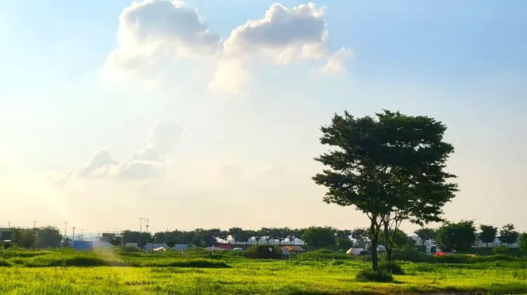 경기도 평택시 진위천 유원지 (출처 : Instagram @taco.toki)