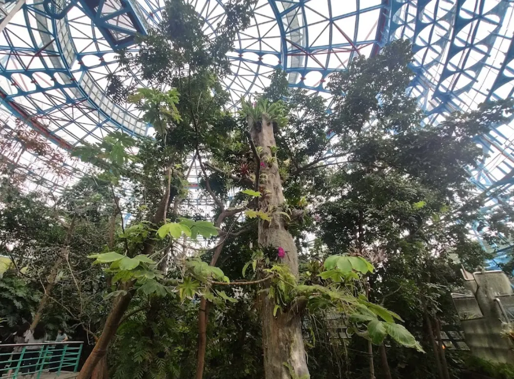 台灣自然科學博物館植物園